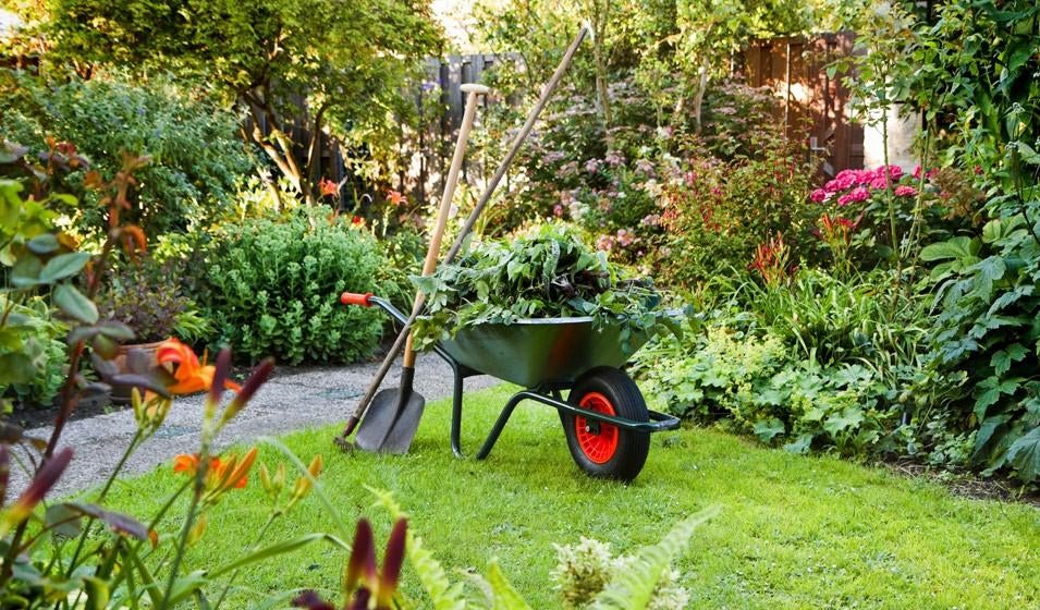 Jardinage