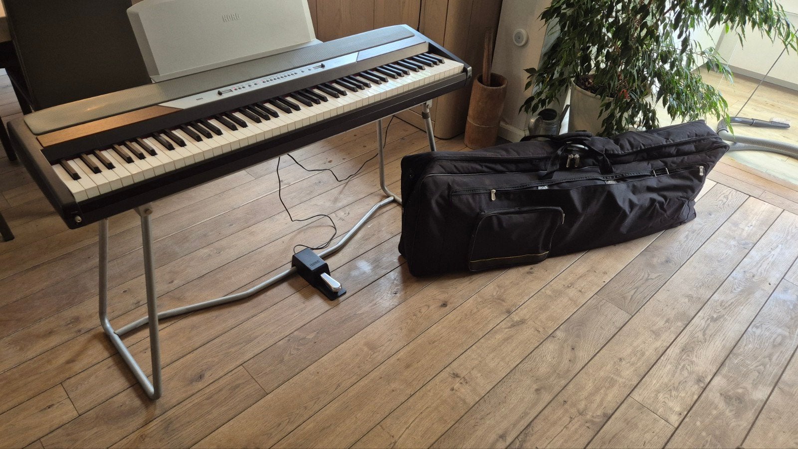Piano de scène Korg SP-250, Musique & Instruments, Sensitif, Enlèvement, Utilisé, Korg