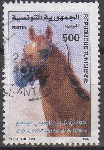 Tunesië - Arabisch volbloed - 1997, Postzegels en Munten, Ophalen of Verzenden, Tunesië, Gestempeld