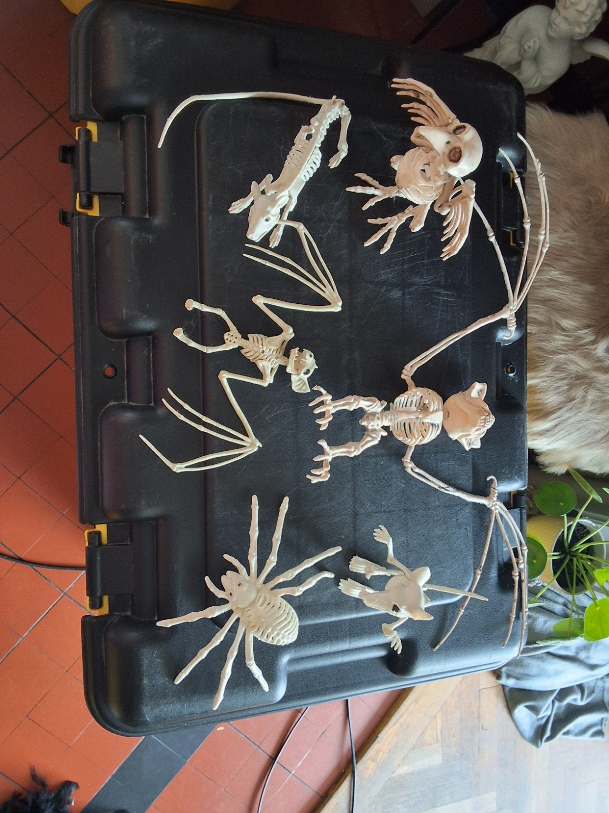 halloween, Ophalen of Verzenden, Zo goed als nieuw, Versiering