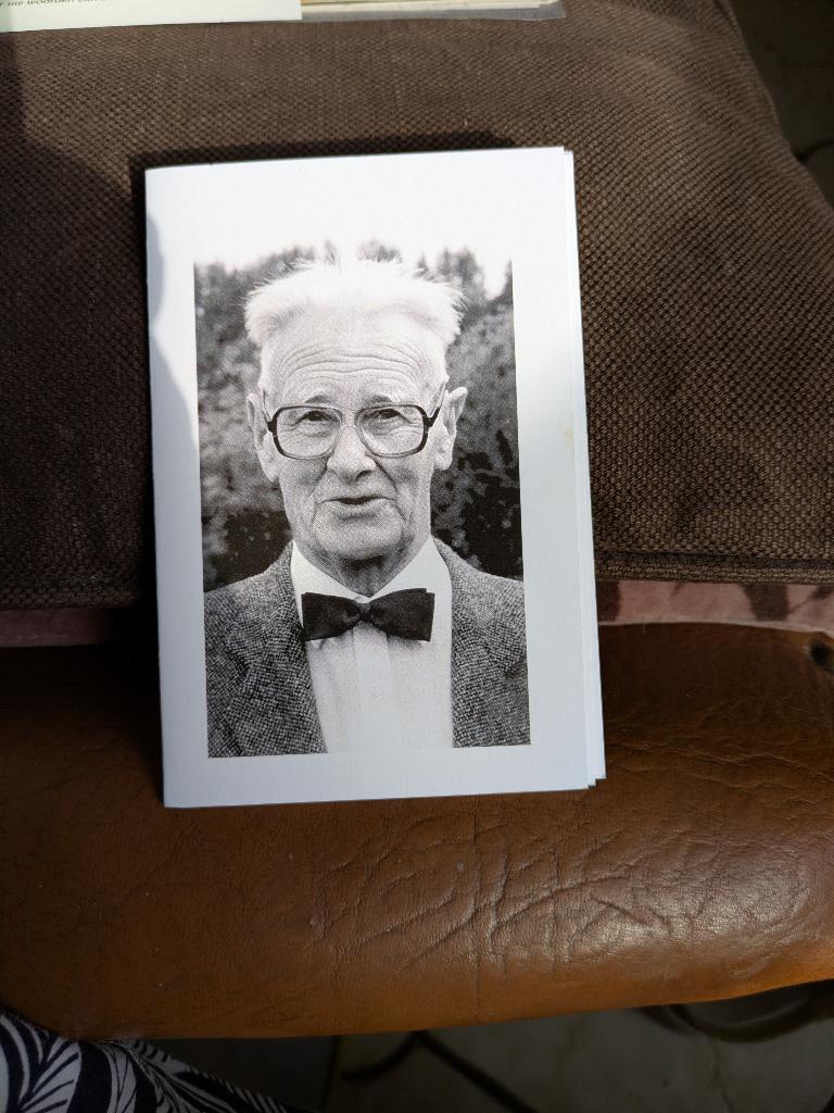 Dp Albert Danneels, Ophalen of Verzenden, Bidprentje