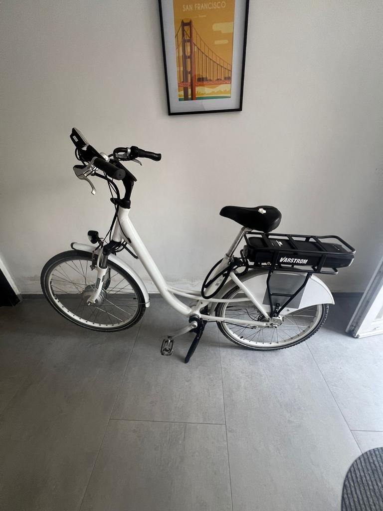 Arcade e-cardan Ebike Cardanaandrijving met XL batterij!, Ophalen