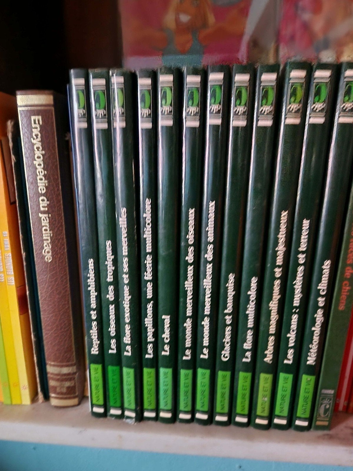 Livres reptile oiseaux arbres, Livres