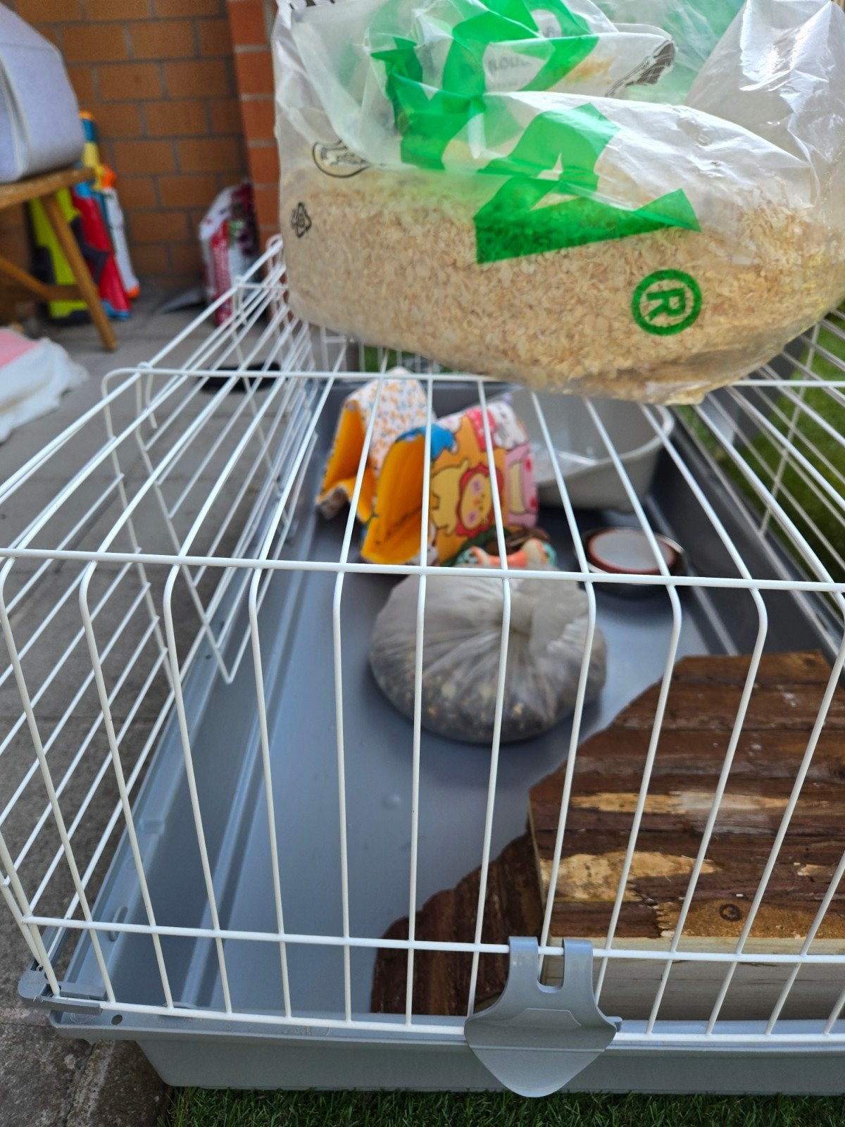 Cage pour rongeur nouveau avec tout ces accessoires, Ophalen of Verzenden, Kooi
