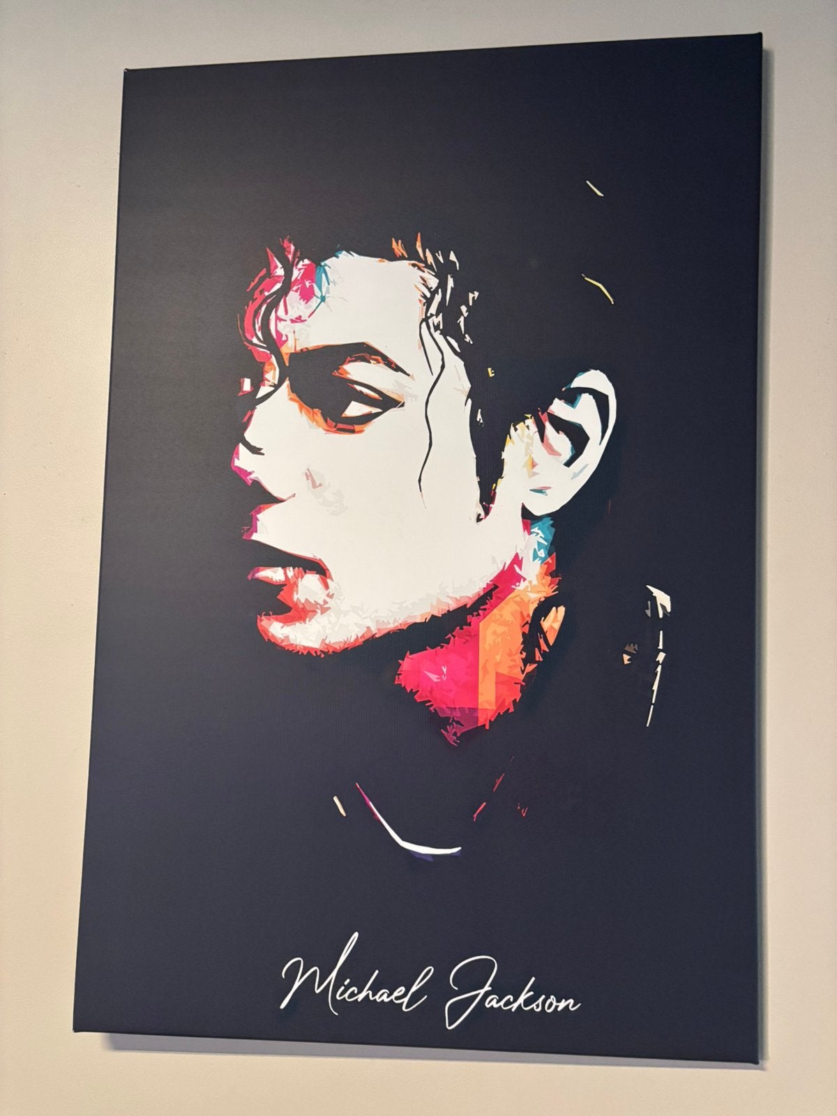 Canvas, Boeken, Ophalen, Zo goed als nieuw