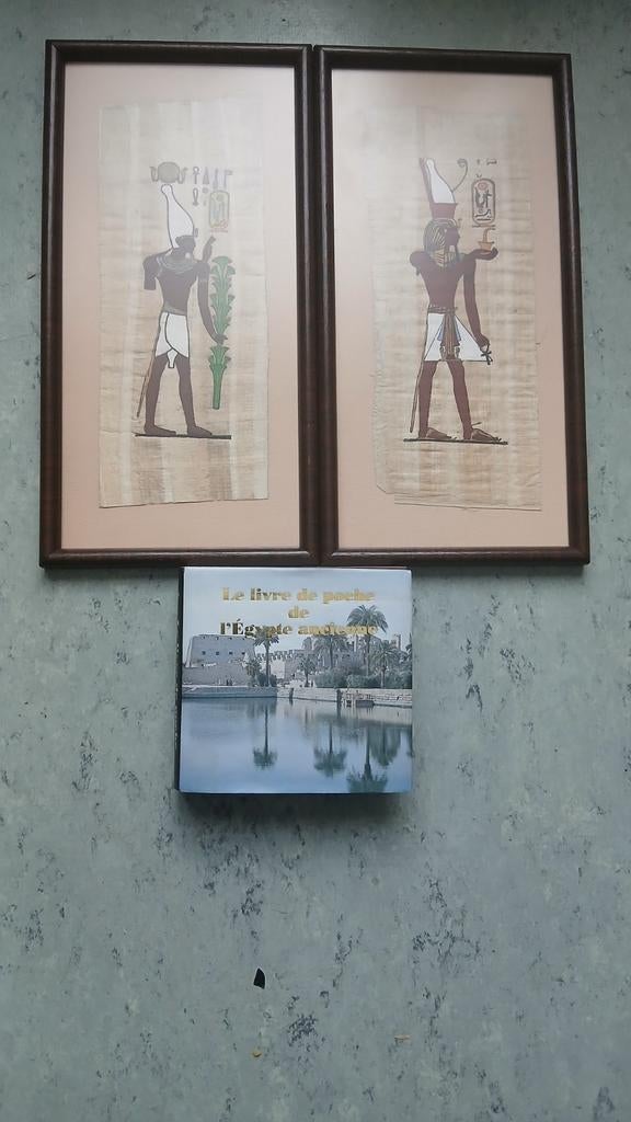 Lot Égypte Ancienne : 2 Tableaux  Encadrés + Livre référence, Enlèvement ou Envoi, Bois