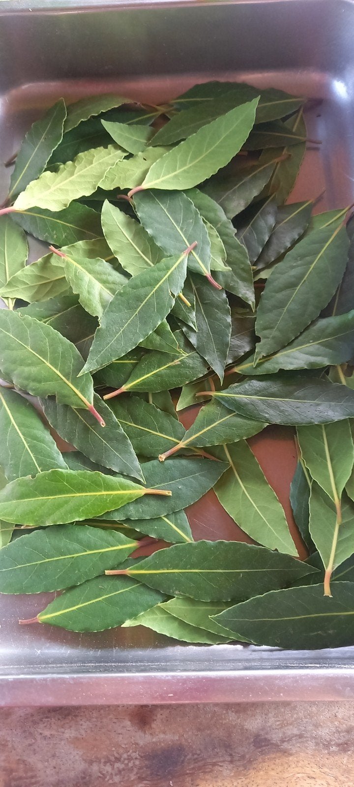 bio laurierbladen @ 2 euro per zakje van 10 g of 20 bladeren, Ophalen