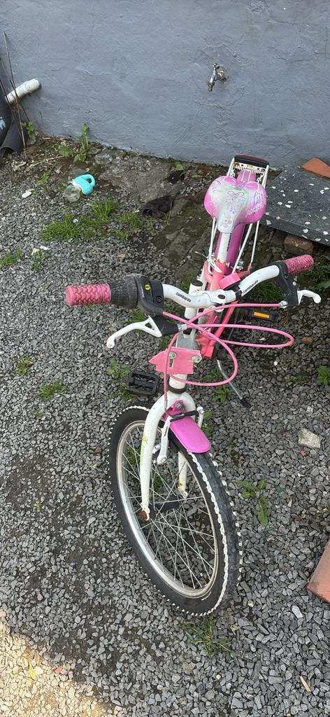 Meisjesfiets 20inch, Fietsen en Brommers, Ophalen, Gebruikt, 20 inch, Versnellingen
