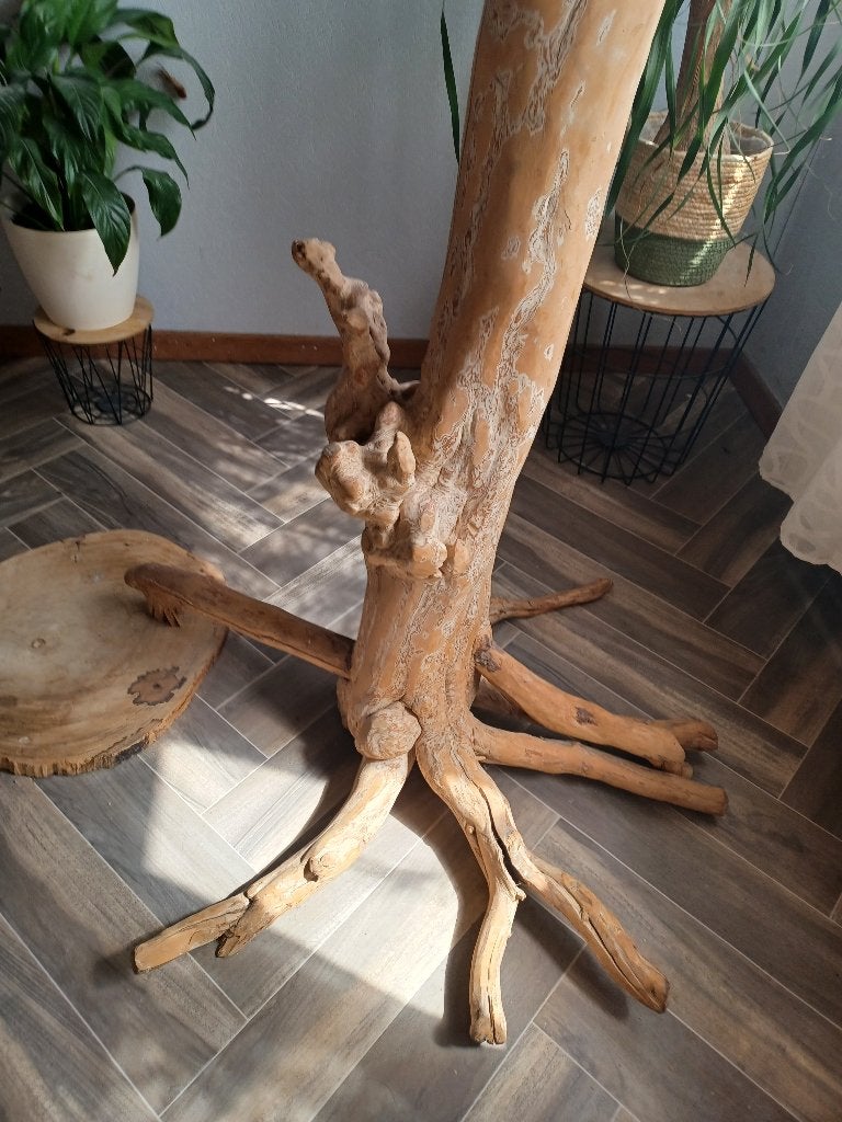 Arbre perroquet xxl, Animaux & Accessoires, Oiseaux | Accessoires, Enlèvement, Comme neuf, Autres types