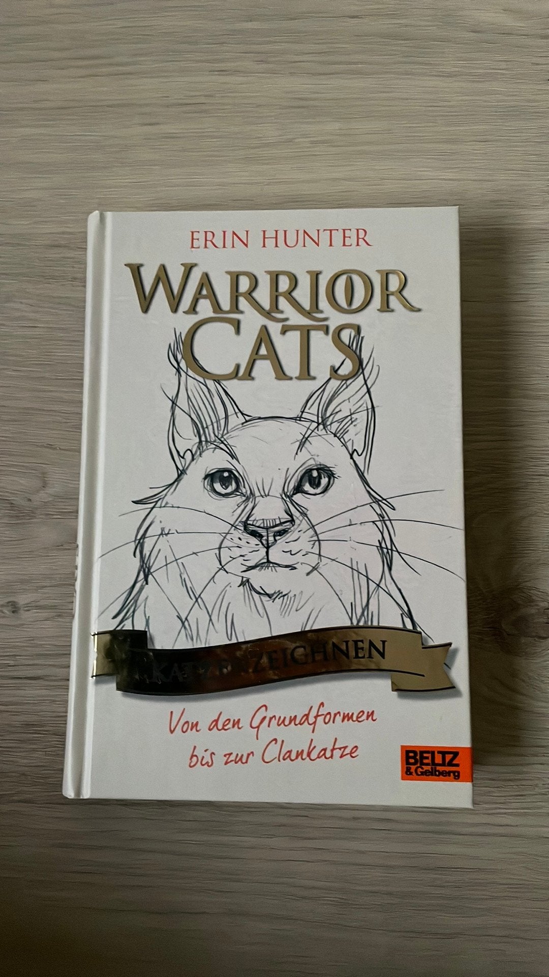 Warrior Cats schetsboek, Boeken, Ophalen, Zo goed als nieuw, Fictie