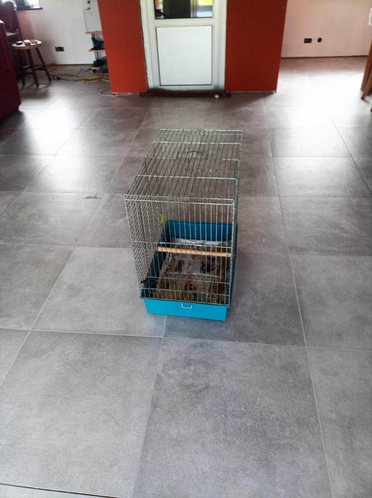 Cage à oiseaux, en très bon état., Enlèvement, Comme neuf, Cage à oiseaux