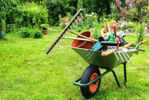Entretien de jardin et terrasse, Jardin & Terrasse, Enlèvement