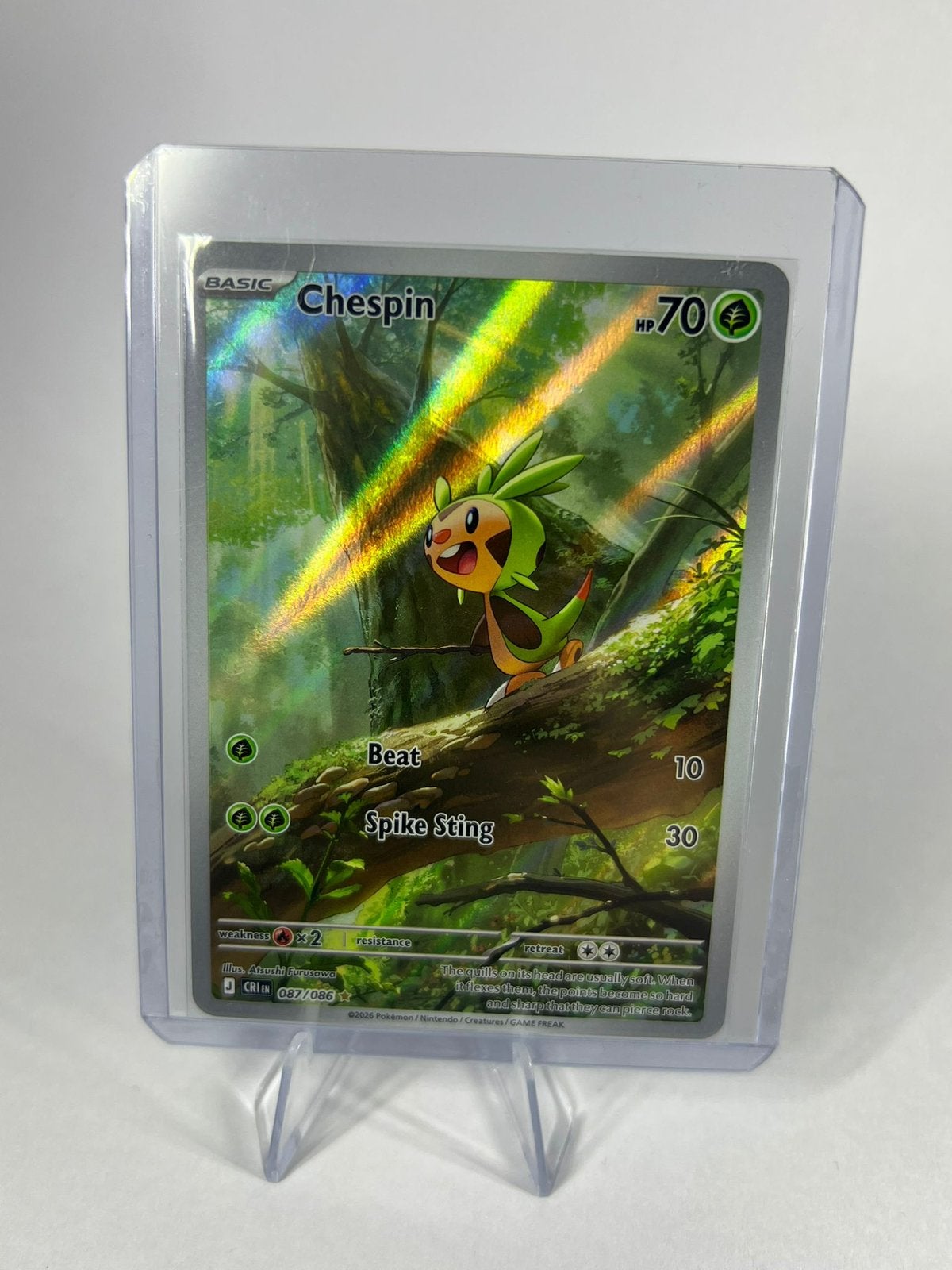 Chespin, Envoi, Neuf, Cartes en vrac