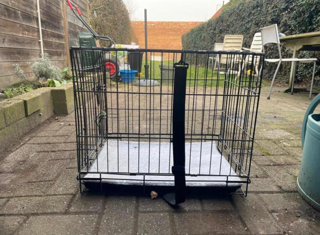 Hondenbench, Dieren en Toebehoren, Ophalen, Gebruikt