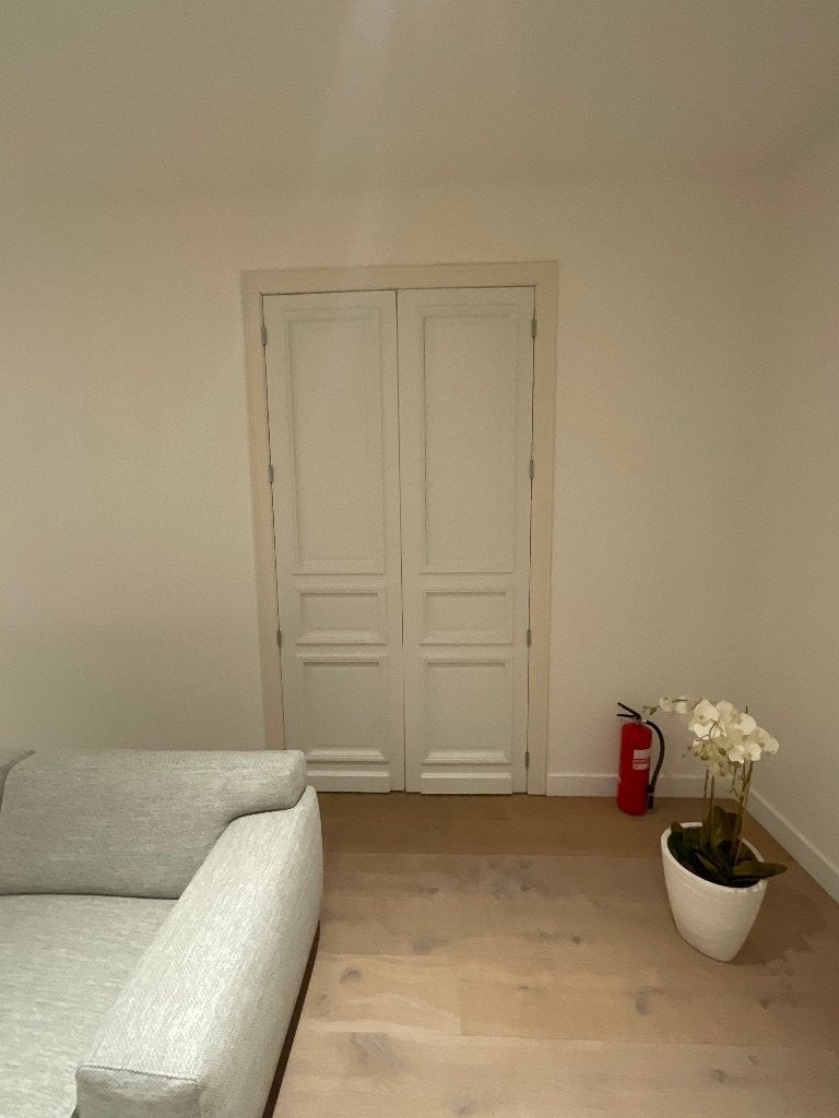 Porte pleine (porte double), Bricolage & Construction, Enlèvement, 120 cm ou plus, Bois, 215 cm ou plus