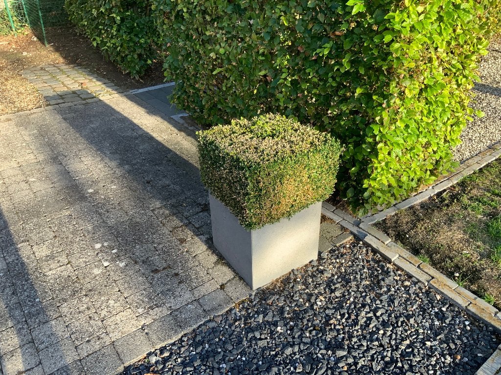 Plantenbak, Enlèvement, Comme neuf, Matériau naturel