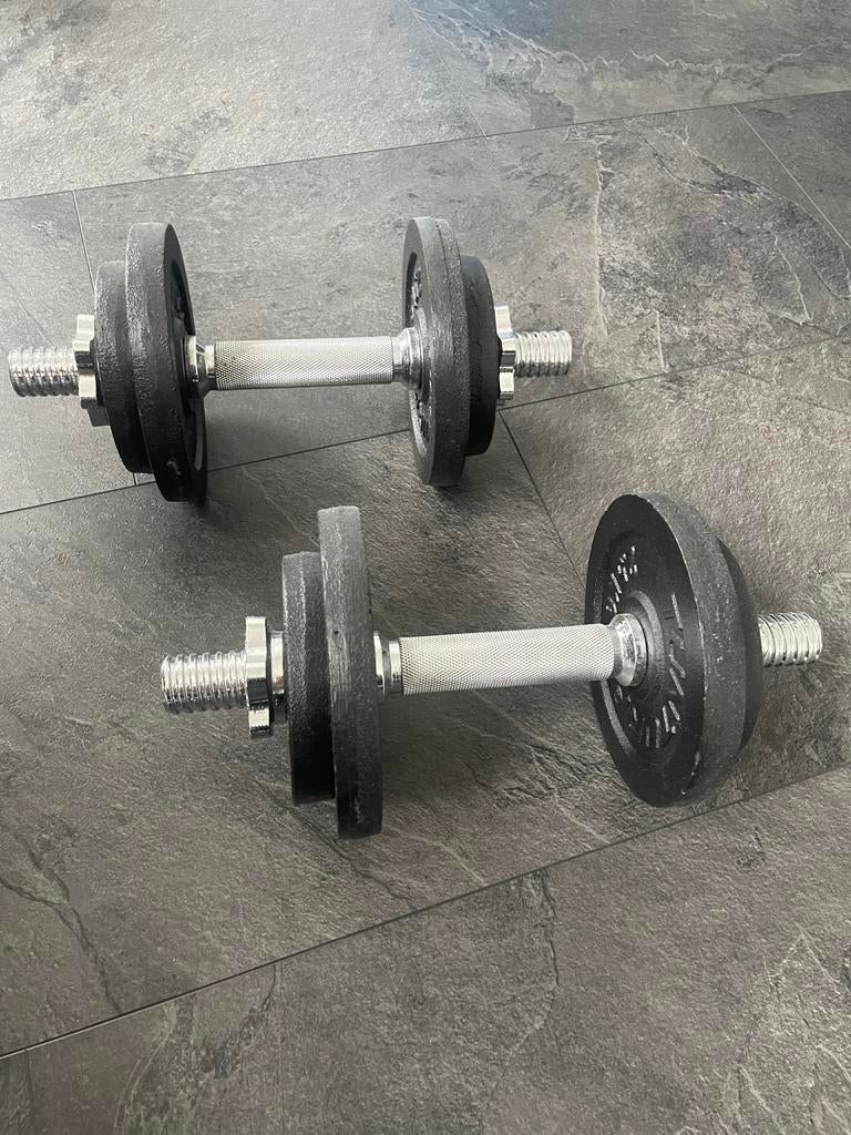 Tunturi gietijzeren dumbbells 2x10kg – goede staat, Ophalen, Zo goed als nieuw, Benen, Dumbbell