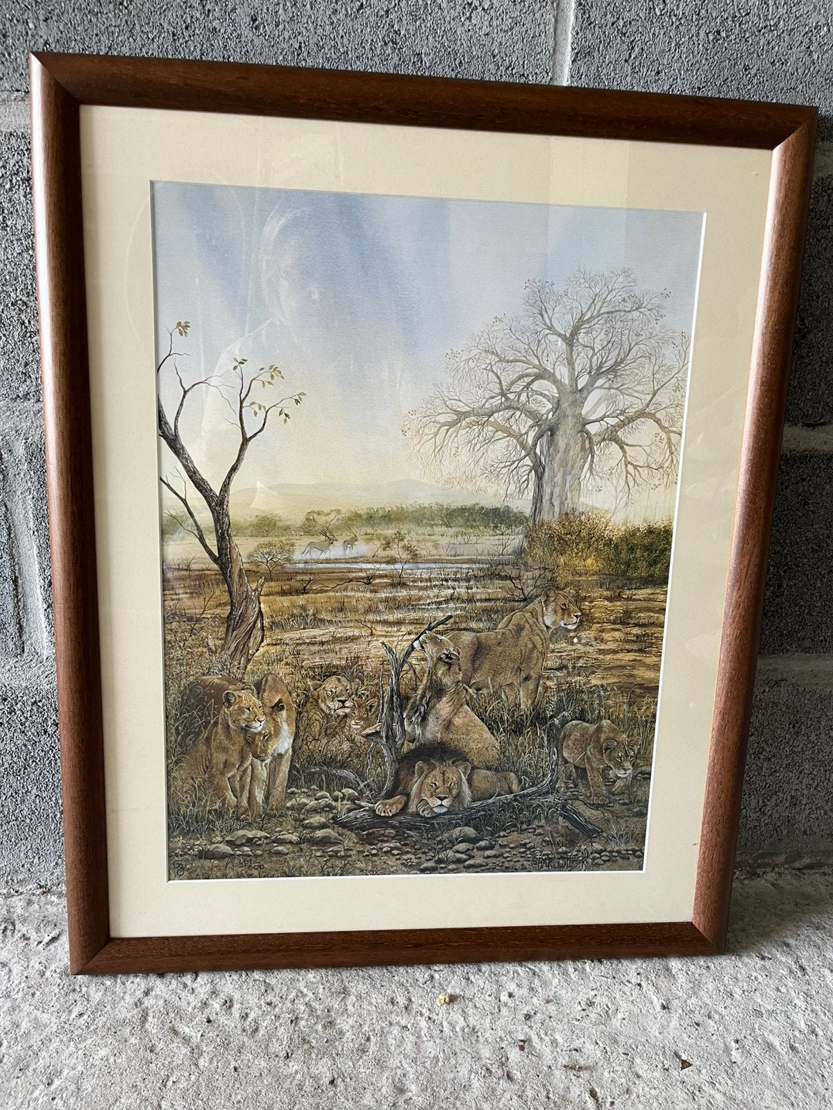 Ingelijste wildlife prent, Antiquités & Art, Enlèvement ou Envoi, Estampe