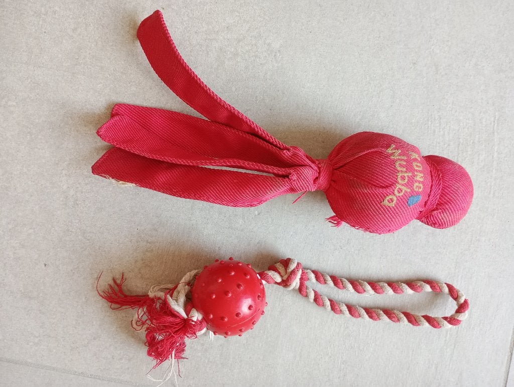 Set de jouets pour chien, Enlèvement, Comme neuf, Kong