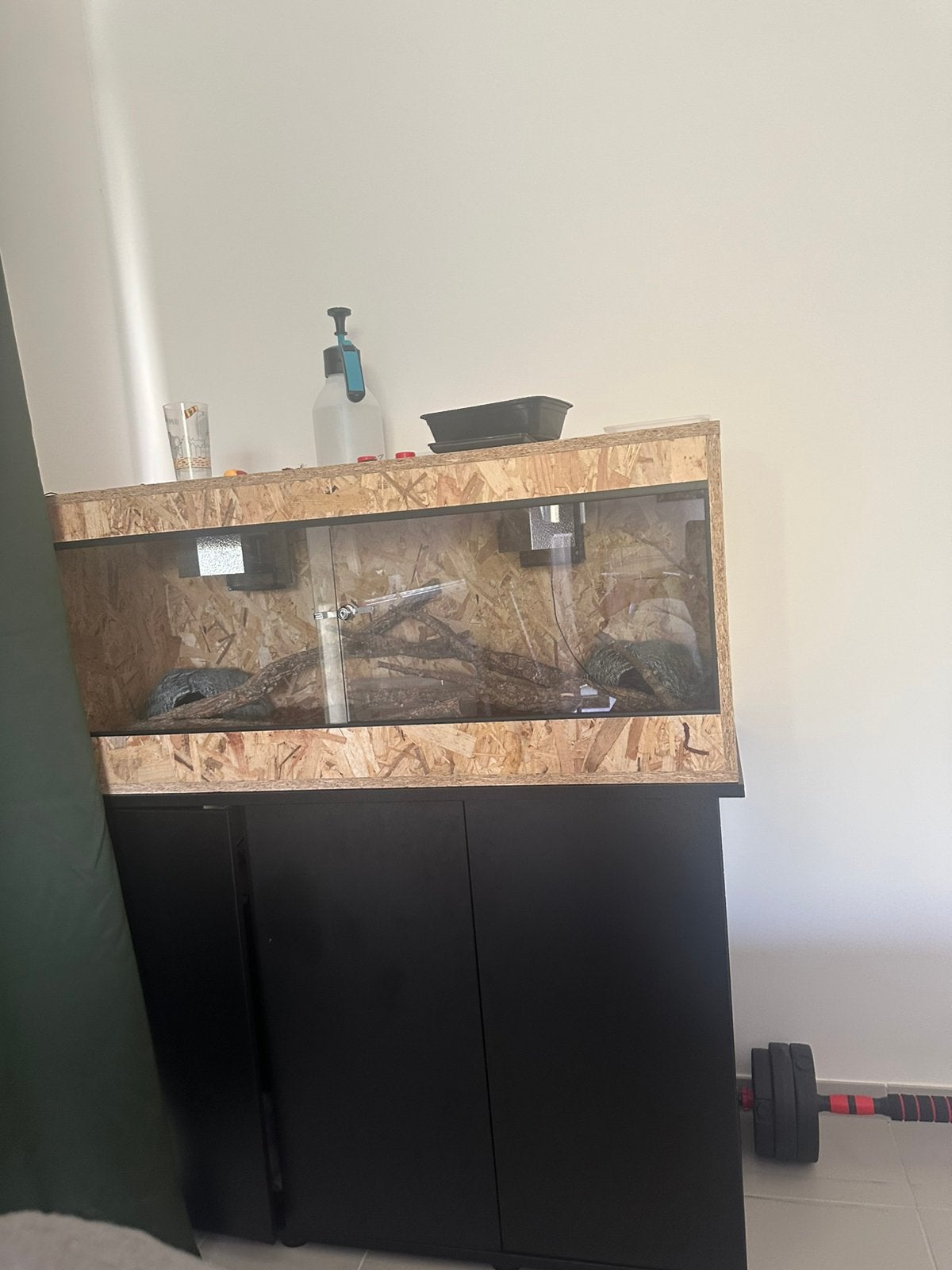 Terrarium + handtamme lavandel albino balpython, Enlèvement, Comme neuf
