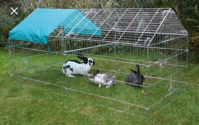 Buitenren voor cavia/konijn, Dieren en Toebehoren, Ophalen, Zo goed als nieuw