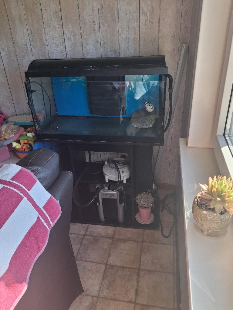 Grote visbak met pomp, Dieren en Toebehoren, Vissen | Aquaria en Toebehoren, Ophalen, Gebruikt, Pomp, Aquariummeubel