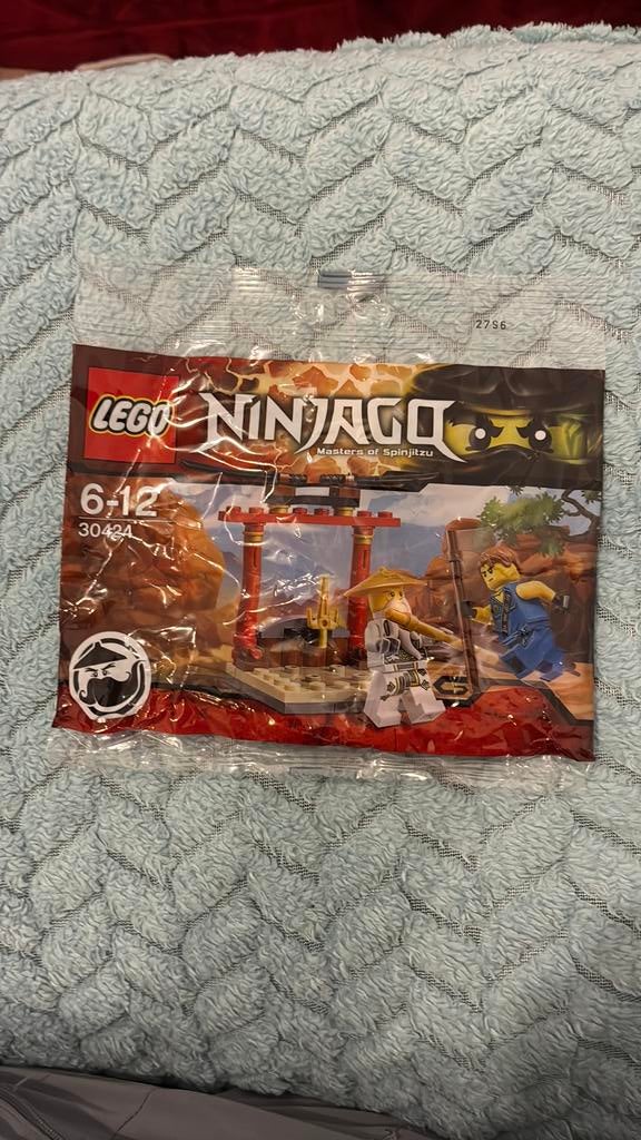 Sac en plastique Lego Ninjago 30424, Enfants & Bébés, Jouets | Duplo & Lego, Neuf, Enlèvement ou Envoi, Lego, Ensemble complet