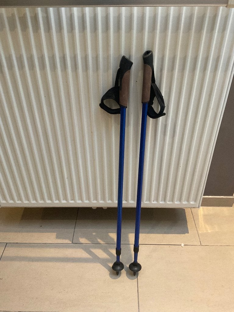 Nordic walk stokken, Sport en Fitness, Bergsport en Wandelen, Ophalen of Verzenden, Gebruikt, Wandelstok