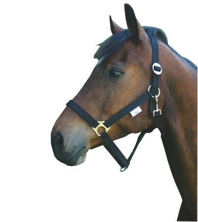 Paardenhalster Exclusief zwart full 3 Nieuw., Nieuw, Ophalen of Verzenden, Zwart, Halster