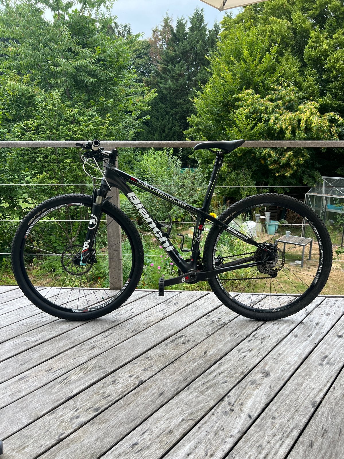VTT BIANCHI METHANOL 29 SL, Enlèvement, Utilisé