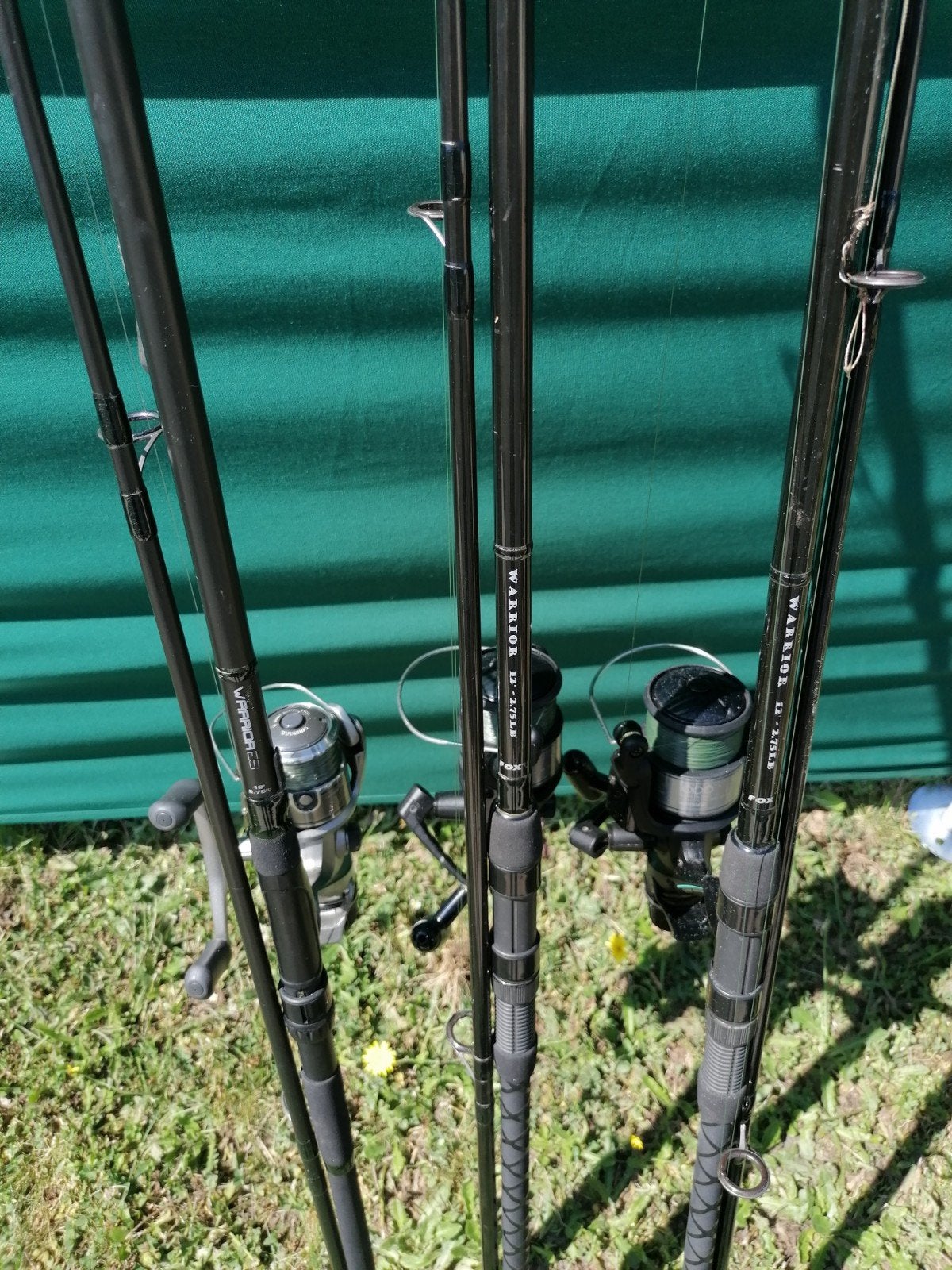 Équipement complet pour carpes, Enlèvement