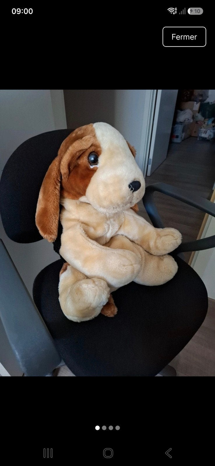 grote hond beagle knuffel, Enlèvement, Chien