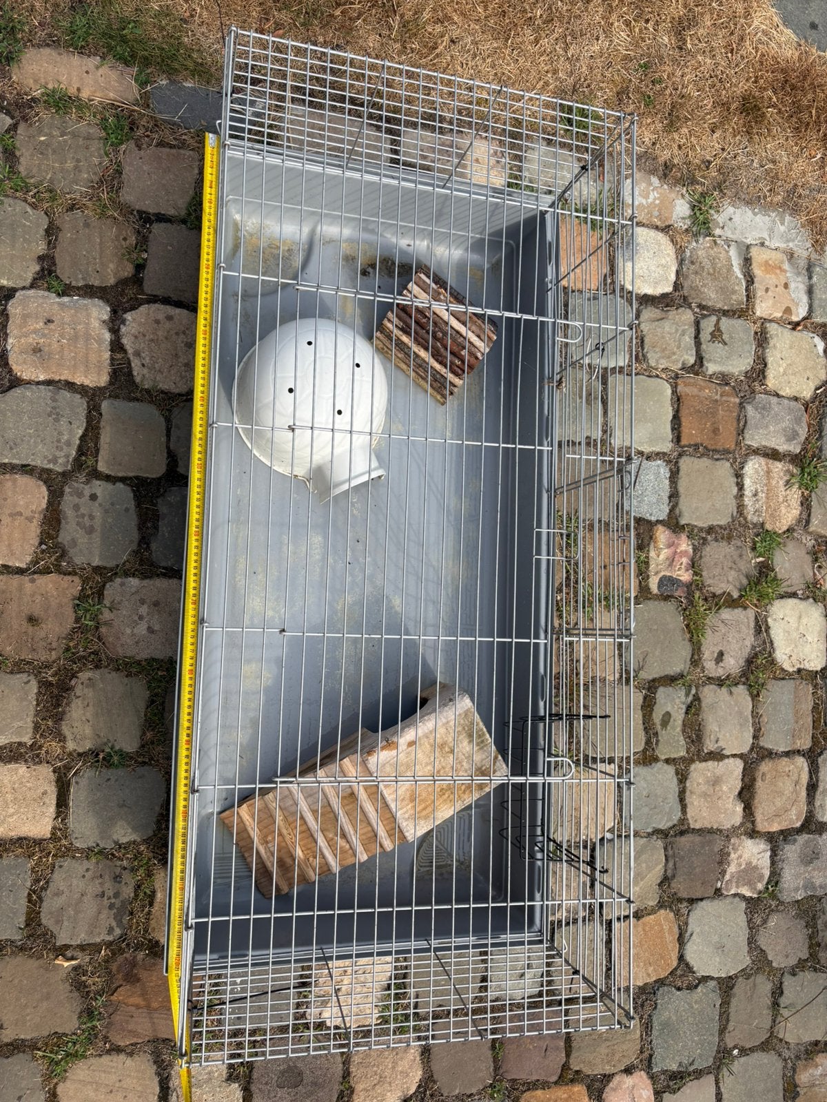 cavia kooi, Enlèvement, Comme neuf, Cage, Cobaye