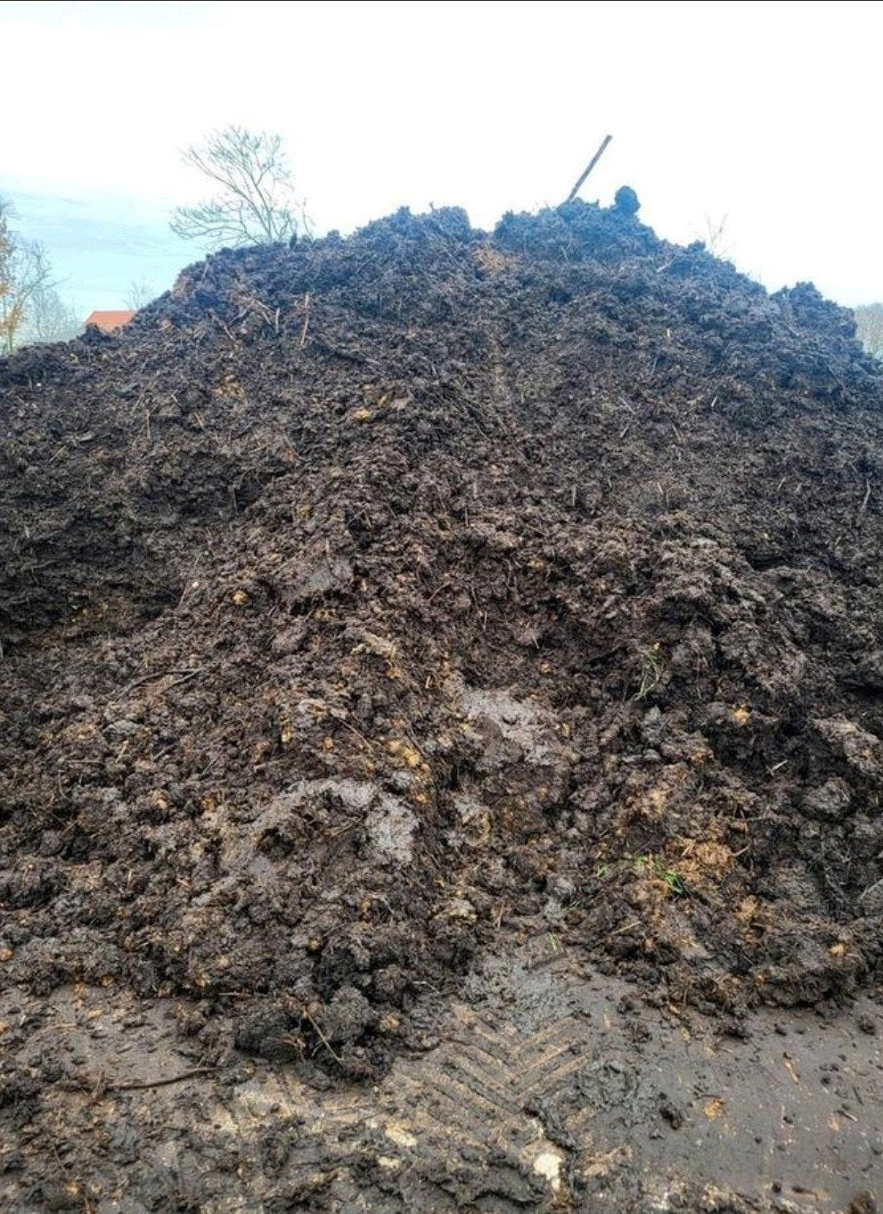 compost - gratis, Tuin en Terras, Aarde en Mest, Ophalen, Compost
