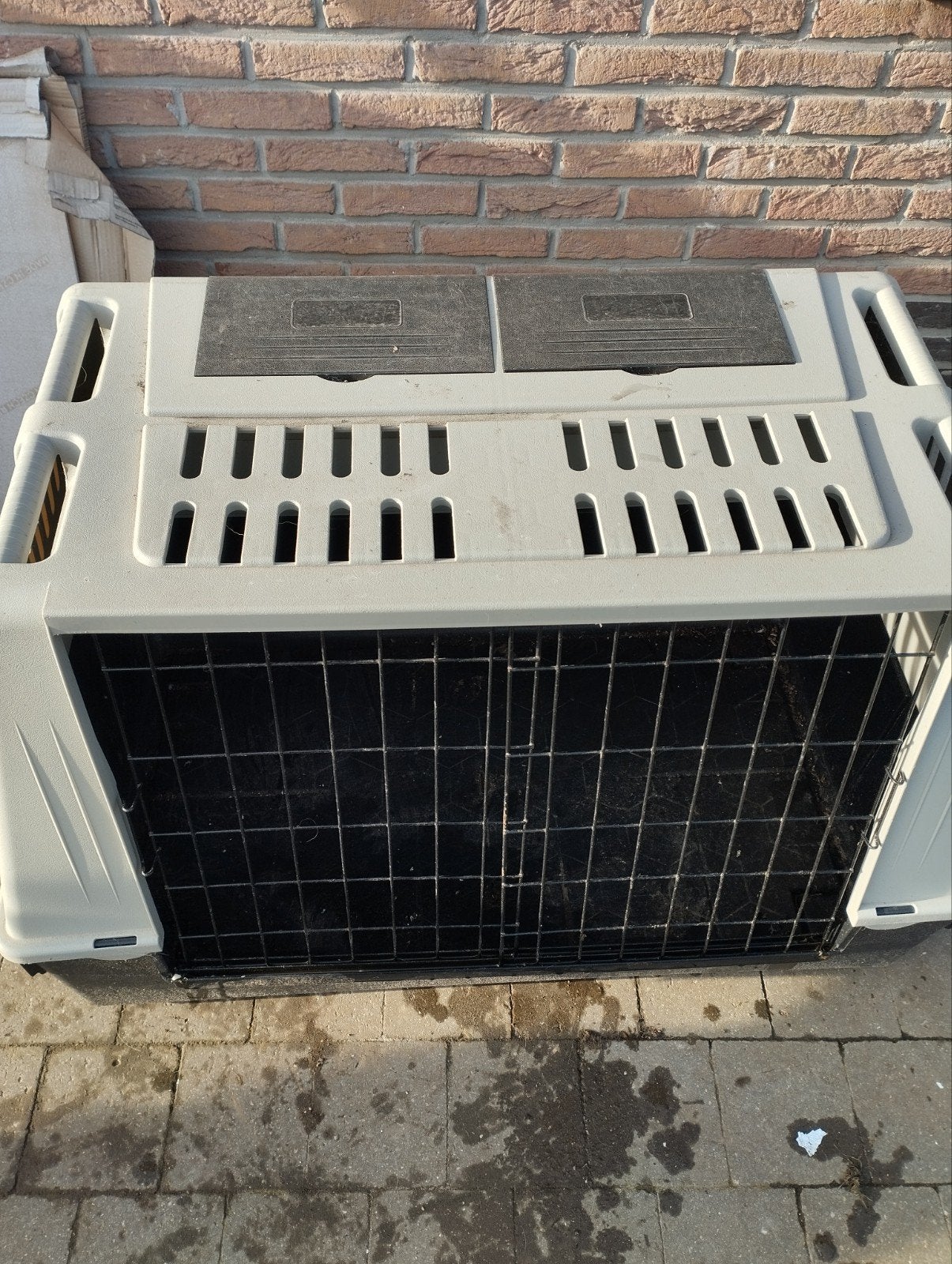 Hondenbenches en manden, Enlèvement