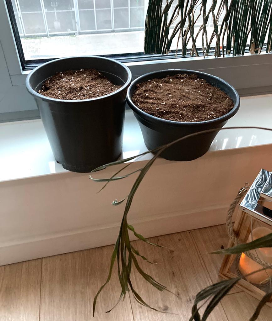 2 pots de fleurs IKEA (sans fleurs, juste terre), Enlèvement ou Envoi, Moins de 25 cm, Rond, Synthétique