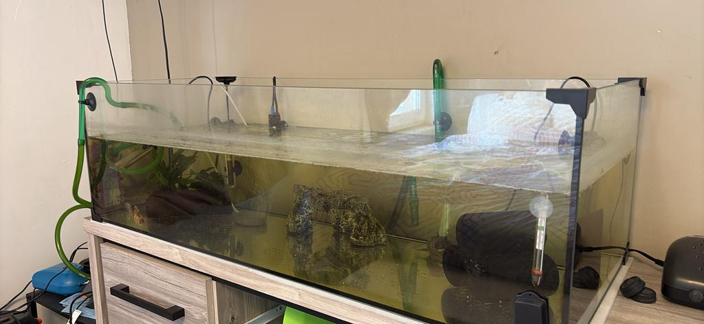 Aquarium met 2axolot’s, Dieren en Toebehoren, Vissen | Aquaria en Toebehoren, Ophalen, Zo goed als nieuw, Aquariummeubel