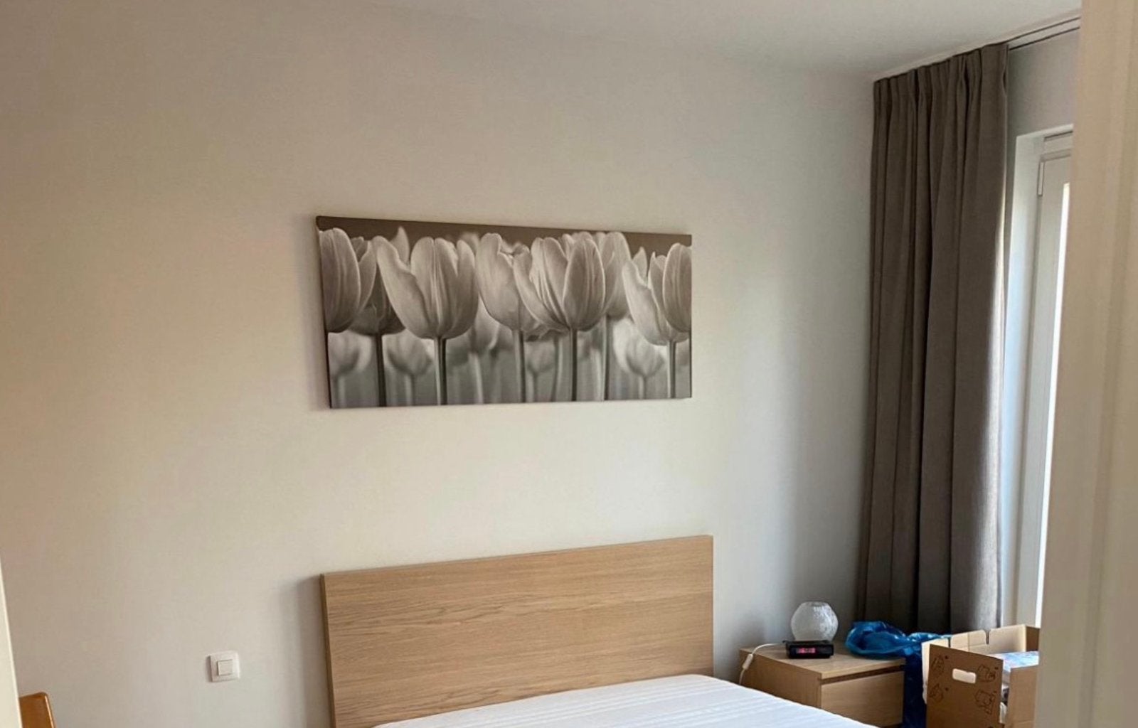 Canvas tulpen (Ikea), Ophalen