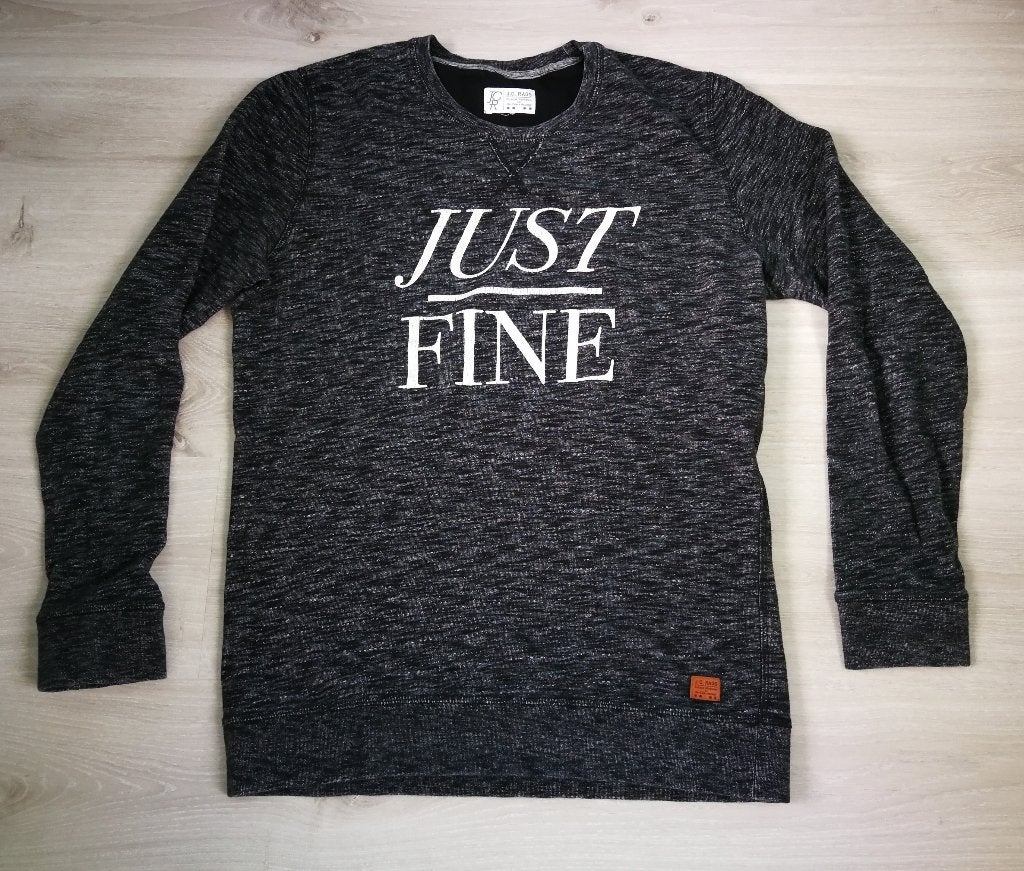 Pull JC Rags,maat M, Kleding | Heren, Truien en Vesten, Maat 48/50 (M), Ophalen of Verzenden, Zo goed als nieuw, JC Rags