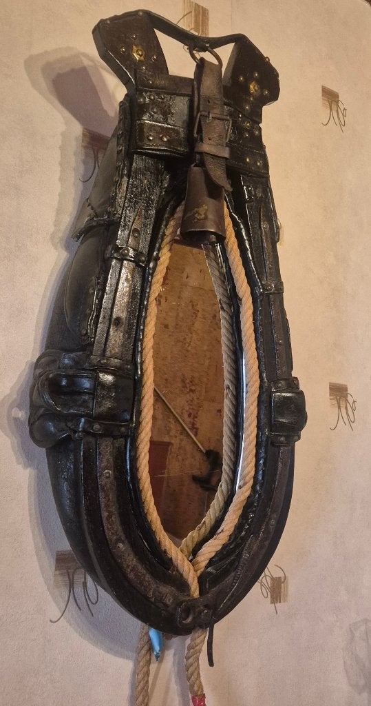 Collier cheval, Enlèvement, 50 à 100 cm, 100 à 150 cm
