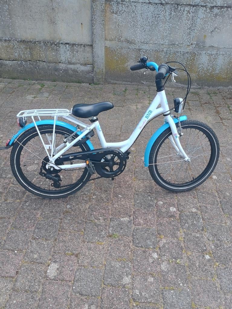 20 inch fiets, Fietsen en Brommers, Ophalen, Gebruikt, Velgrem, Versnellingen