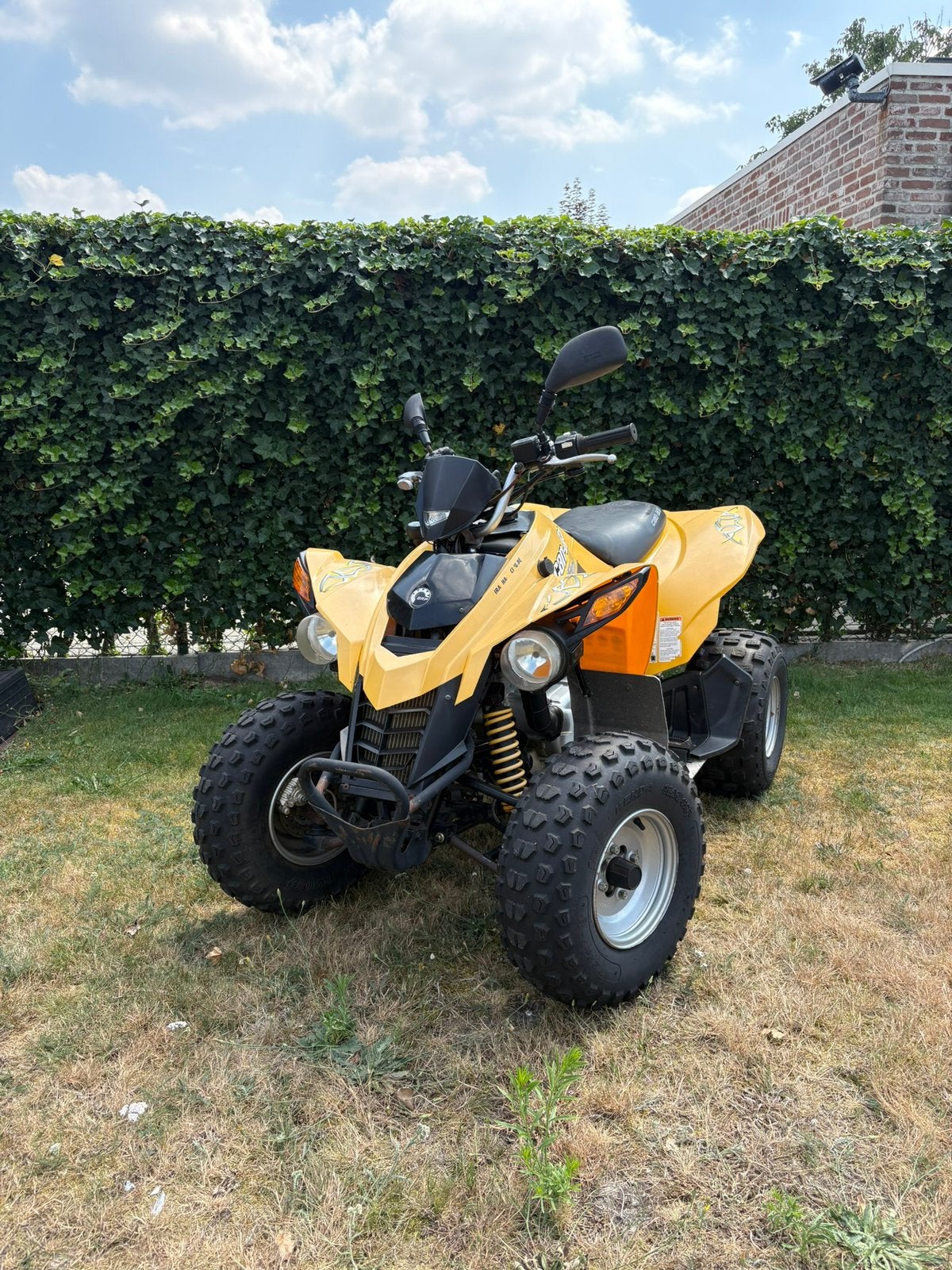 Quadruple Can-Am DS250, 12 à 35 kW, 1 cylindre, 250 cm³