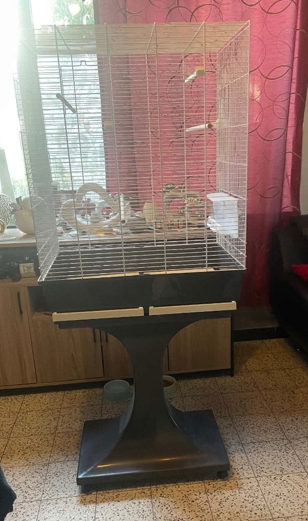 Cage oiseaux, Enlèvement, Utilisé, Cage à oiseaux