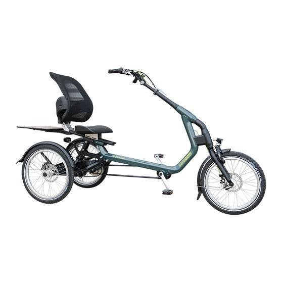 VERSTERKTE Van Raam easy rider, Fietsen en Brommers, Fietsen | Driewielfietsen, Ophalen, Zo goed als nieuw, Van Raam