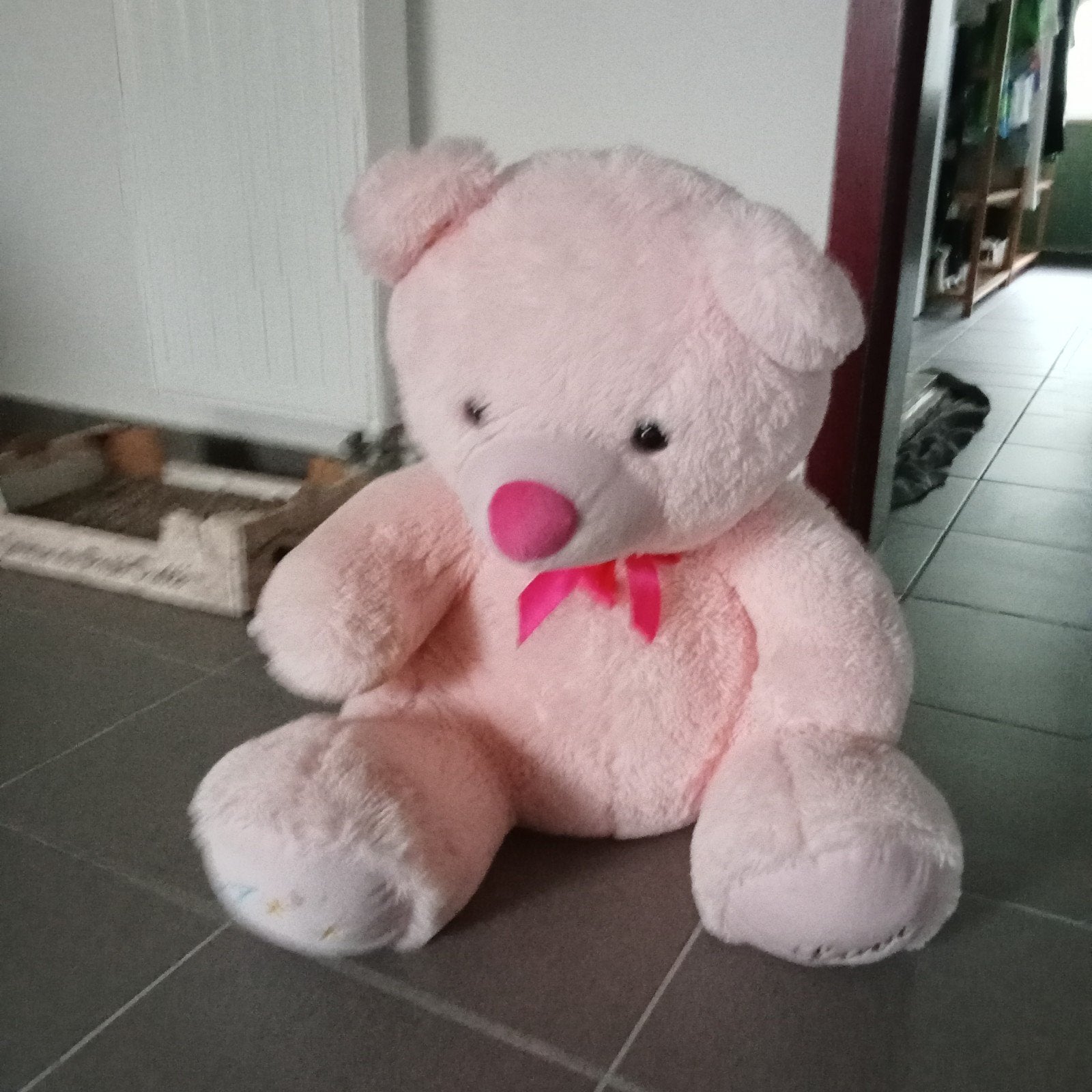 Grote roze beer, Ophalen, Roze, Beer