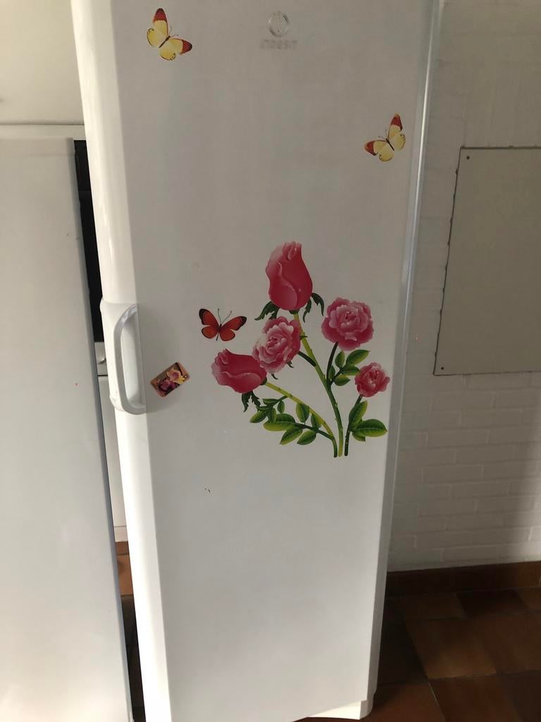Ijskast, Elektronische apparatuur, Koelkasten en IJskasten, Ophalen, Zo goed als nieuw, 160 cm of meer