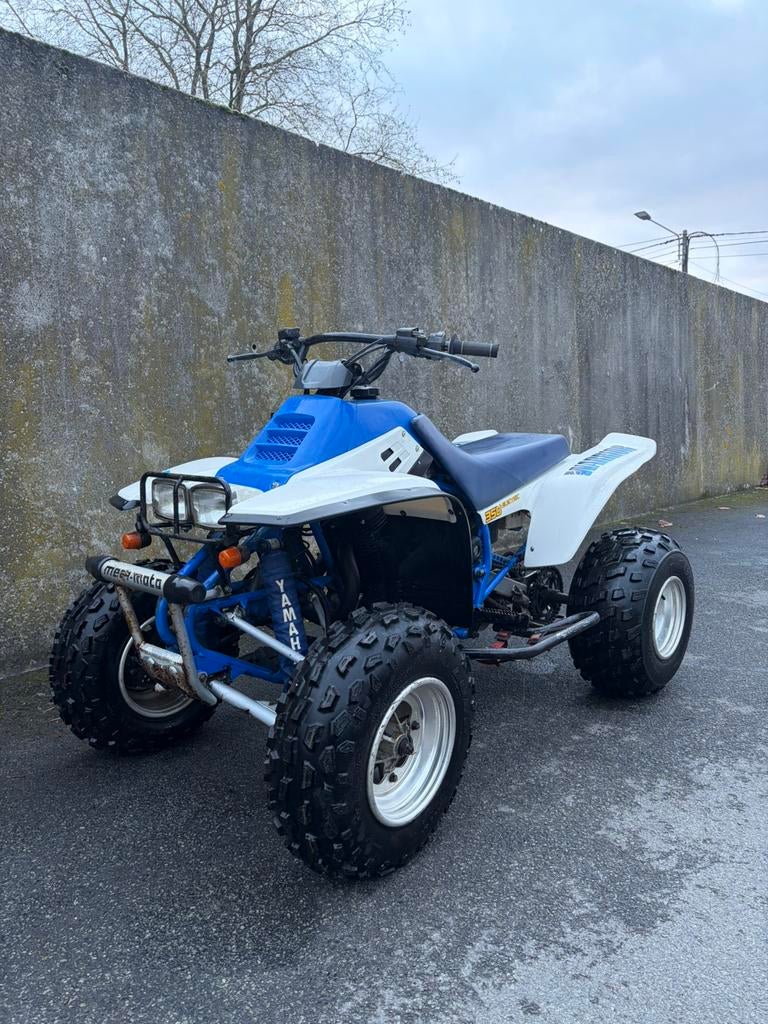 Yamaha Warrior 350 YFM350X