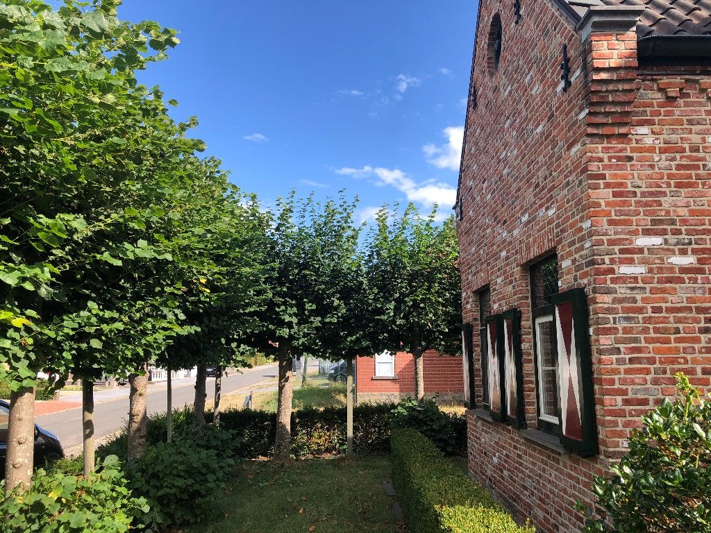 Leilinden, Ophalen