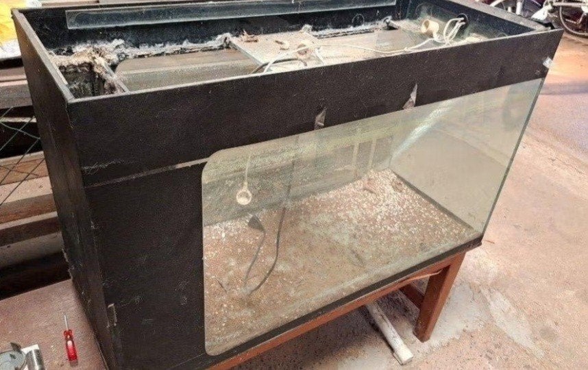 Aquarium, Enlèvement, Utilisé, Aquarium vide