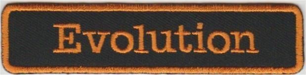 Harley Davidson Evolution stoffen opstrijk patch embleem #1, Motoren, Verzenden, Nieuw